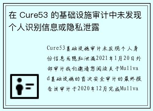 在 Cure53 的基础设施审计中未发现个人识别信息或隐私泄露 